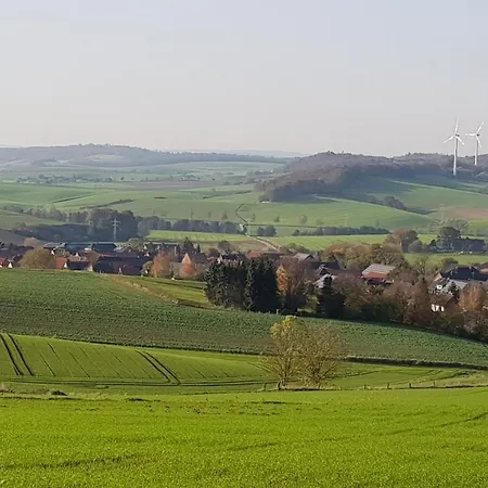 Waldblick *